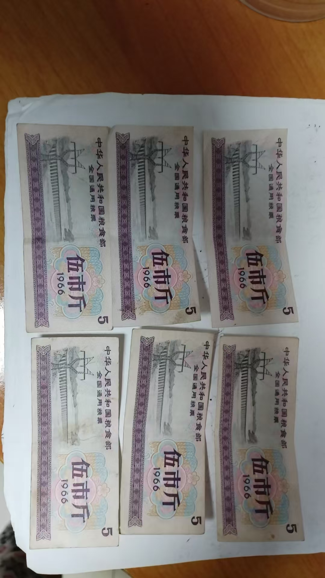 0269e892-fe0c-440b-81b6-b2d8521666eb